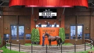 【セレクトセール2025】コントレイル産駒に2億8000万円