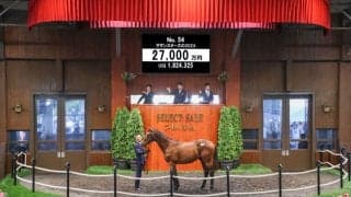 【セレクトセール2025】スターズオンアース半弟に2億7000万円