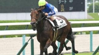 【今日の注目ポイント】マリーンSでレディントンがOP初勝利を狙う