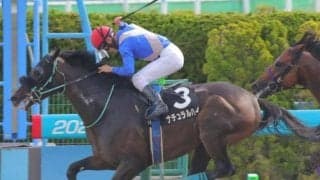 【マリーンS】前走大沼S組が好成績 人気薄でも狙いたい一戦