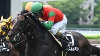 【テレQ杯】外枠の活躍目立つ一戦 距離短縮組の激走には注意