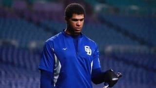 身長201cm元助っ人に届いた訃報　愛妻が急逝…飛行機内で体調急変、台湾の球宴は辞退