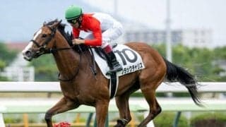 【函館2歳S予想】短距離向きのスピードが必要不可欠！ 馬格のある馬が活躍する2歳限定重賞