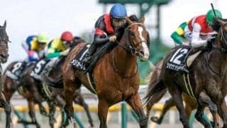 【小倉記念前日オッズ】メリオーレムが5.4倍で1番人気