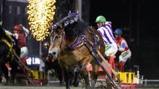 過去最多2万超の投票から選出！「第37回ばんえいグランプリ」ファン投票1位はメムロボブサップ