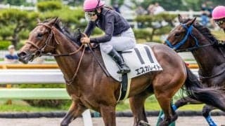 函館芝は圧倒的に内枠有利 函館2歳Sはエスカレイトが好配当呼ぶか