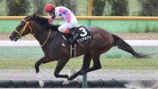 【マリーンS】ピュアキアンが脅威の粘り腰！オープン初勝利