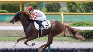 【函館3R】アルデツヨシ快勝で丹内騎手はJRA通算600勝達成