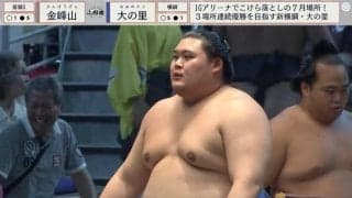 「防災グッズになるレベル」新横綱大の里、“分厚すぎる”53本の懸賞を受け取る姿に騒然「ものすごい懸賞」