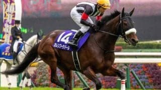 母はGI・2着3回のカレンブーケドール ハムタンが武豊騎手で初陣