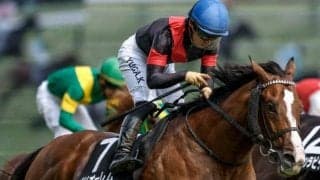 【今日の注目ポイント】開催最終日に小倉記念と函館2歳S