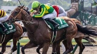 【函館2歳S】展開読みづらい2歳戦 サンデーサイレンス系が優勢か