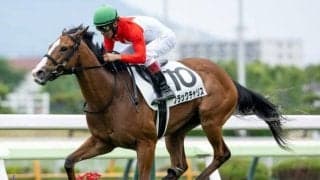 【函館2歳S予想】世代最初のJRA重賞 キャリアが浅い馬同士で波乱も