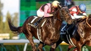 【小倉記念予想】“ナツコク”締めくくる名物ハンデ重賞 長く良い脚＆最後のひと伸びが要求されるコース