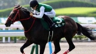 【小倉記念】ディープの血を引く馬が好調 狙い目の人気は？