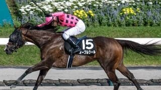 【福島テレビ賞】内枠が優勢か 伏兵でも注目したい血統とは