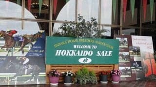 北海道市場で「セレクションセール・プレミアムセッション」の事前下見が行われる 21日にセール開催