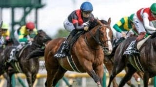 【小倉記念・馬体重】メリオーレムは488kg(-6)、ディープモンスターは470kg(+2)