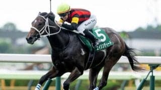 【函館2歳S結果】移籍初戦＆初芝の9番人気エイシンディードが鮮やかに逃げ切りV！