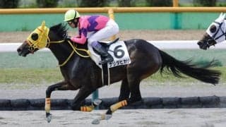 【函館2R】武豊ナリタヒカリが人気に応える