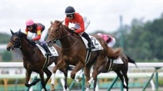 【新馬/函館5R】アーテルアストレア半弟・アーレムアレスがデビューV