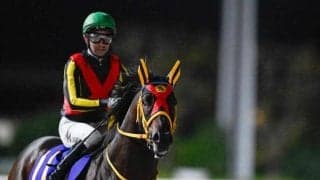 【東海S】エートラックス、ビダーヤらが登録