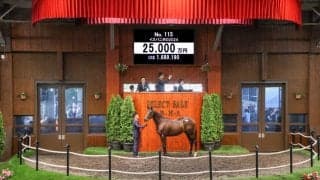 【セレクトセール2025】コントレイル産駒が2億5000万円を記録…イスパニダの2024