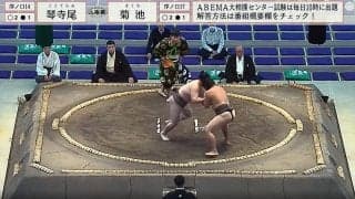 「すごいTシャツ」「こんな柄あるのか」大相撲中継、女性ファンのTシャツ絵柄に反響 後ろ姿に“ほっこり”