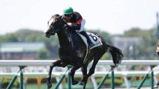 【新馬/函館5R】ブリクスアンドモルタル産駒 ハイヤーマークがデビューV