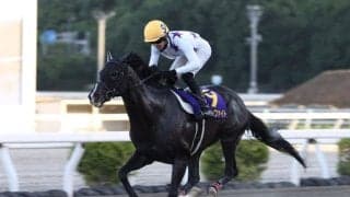 【高知・トレノ賞】井上瑛太＆ロードインファイトが地元で重賞初制覇！5馬身差の圧勝劇