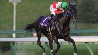 【盛岡・やまびこ賞】サンロックンロールが圧巻の8馬身差V！不来方賞の権利獲得