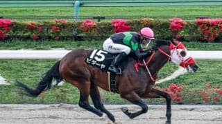 【東海S見どころ】快進撃が続くビダーヤの5連勝に期待