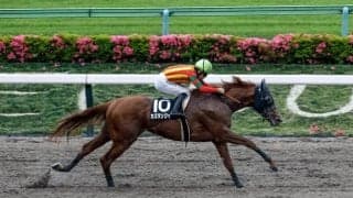 【盛岡・マーキュリーC注目馬】実力拮抗のメンバーがみちのくで激突