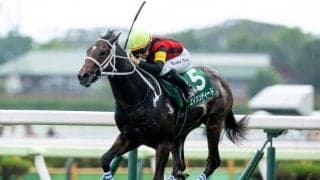 【函館2歳S】売上は36億2197万1900円で昨年とほぼ変わらず