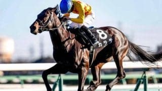 【先週のJRA抹消馬】芝重賞3勝を挙げたカラテ、ダートで活躍したケンシンコウなど