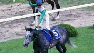 『ウマ娘』でも再現されている宿命　メジロマックイーンが「世紀の対決」で見せた一門の集大成