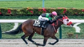 【東海S想定騎手】ビダーヤは坂井瑠星騎手、ヤマニンウルスは武豊騎手