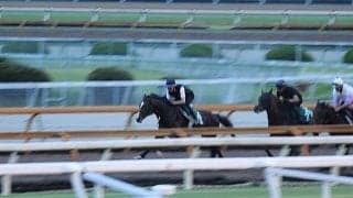 初陣迎えるクールドリオン 庄野師「この馬が一番父に似ている」/関西馬メイクデビュー情報