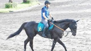 母はフローラS勝ち馬 ペルウィクトールが日曜新潟で初陣/関東馬メイクデビュー情報
