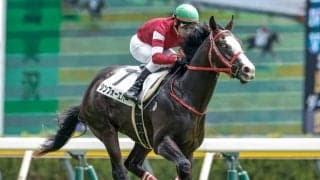 【関屋記念展望】好走傾向に合うシンフォーエバーに妙味あり