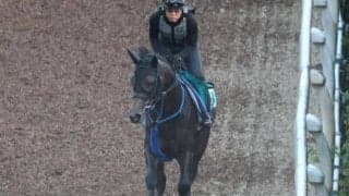 サウンドラッシュなど、先週のゲート試験/栗東トレセンニュース