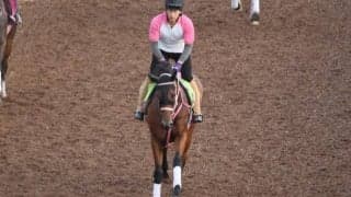 メリーウィドウの2023(ヴィリアズソング)など、先週の入厩情報/栗東トレセンニュース