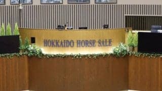 セレクションセールの前日展示が開催 23日当日には250頭が上場予定