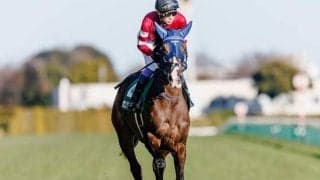 【関屋記念予想オッズ】ボンドガールが予想1番人気