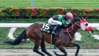 【東海S予想オッズ】ビダーヤが予想1番人気