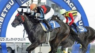 ファインキックがクローバー賞への優先出走権を獲得 米川師「このまま無事ならば札幌へ」