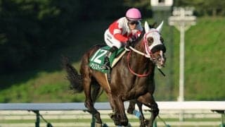 【盛岡・若鮎賞】山本聡哉「芝ダート問わない」セイクリスティーナが重賞初V