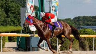 【佐賀・霧島賞】ルピナステソーロが逃げ切りV…永森大智騎手「理想の形、馬の実力で凌いでくれた」