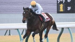 今年から「ダ1400m」に変更 第42回を迎える東海Sの歴史振り返る