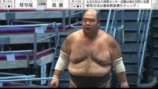 愛され力士の“個性的な髷”が話題 貴重なバックショットに「キチンと整ってる」「美しすぎる」